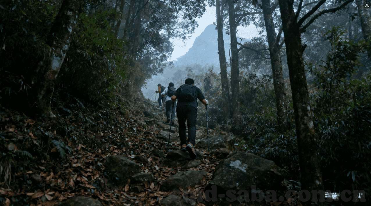世界杯哪里能买彩票-世界杯彩票购买指南，安全、合法与便捷的途径