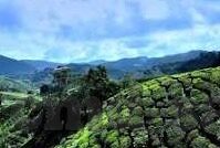 星空体育app信誉好-星空体育App，信誉之上，卓越体验引领未来